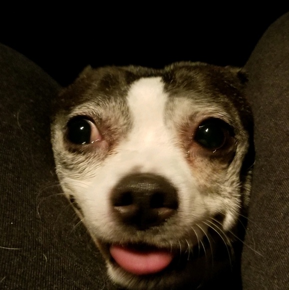 Meet your Posher, Katie - Picture 1 of 1